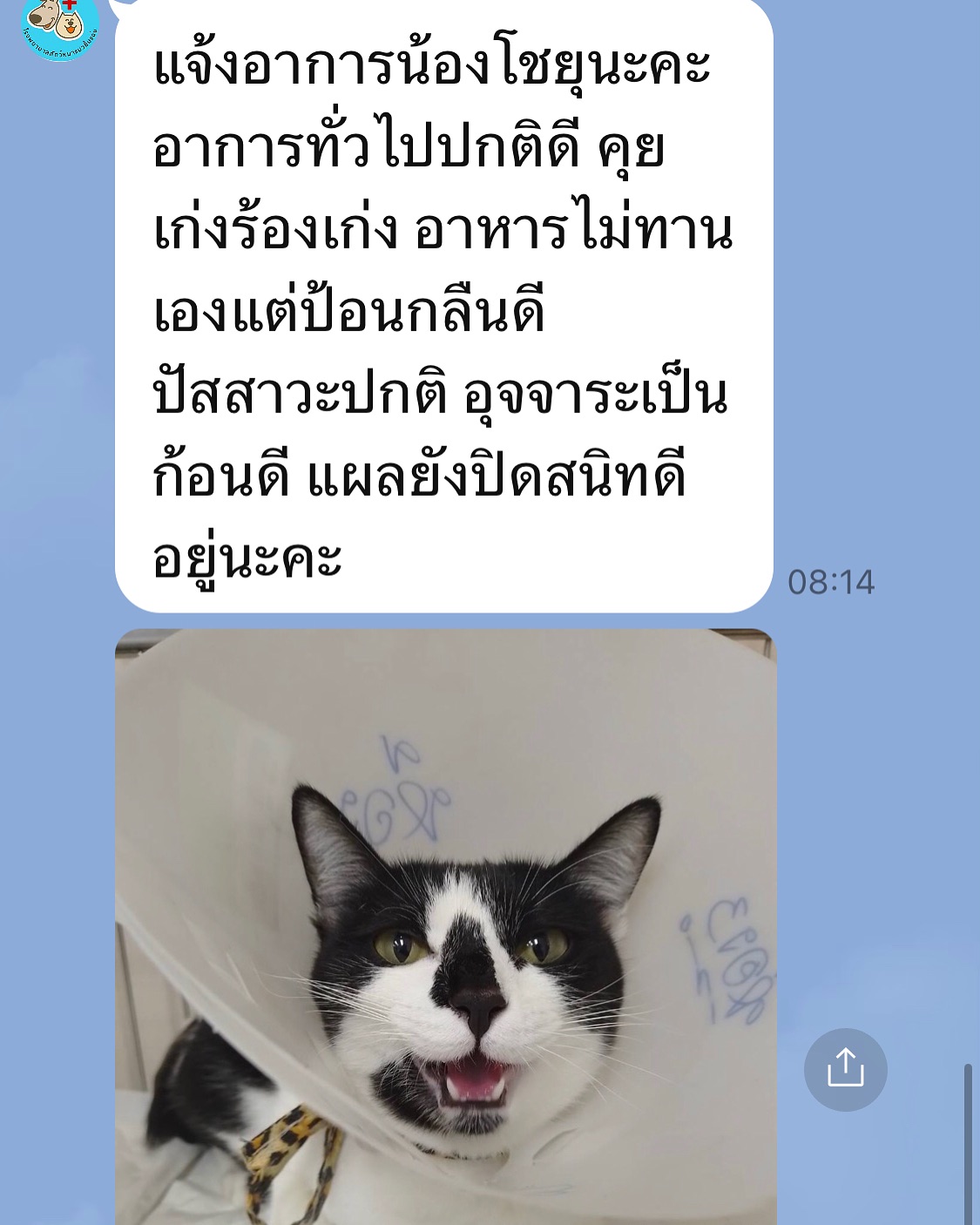 พล่ากุ้ง - วรชาติ ธรรมวิจินต์