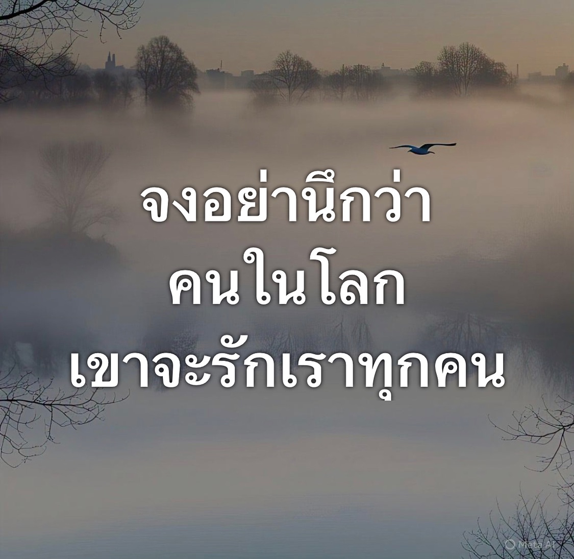 พล่ากุ้ง - วรชาติ ธรรมวิจินต์