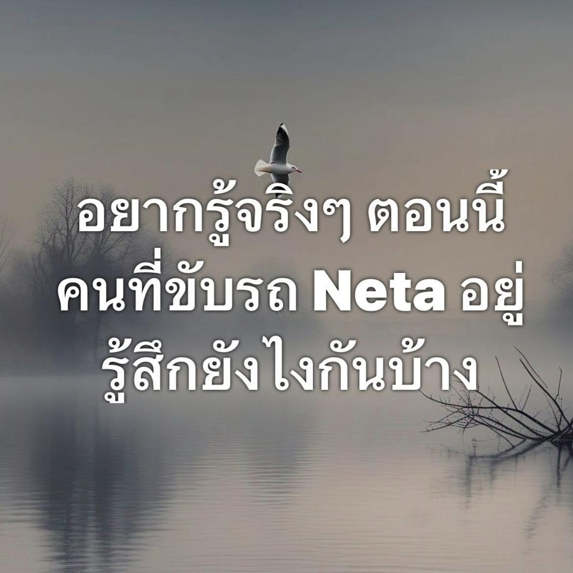 พล่ากุ้ง - วรชาติ ธรรมวิจินต์