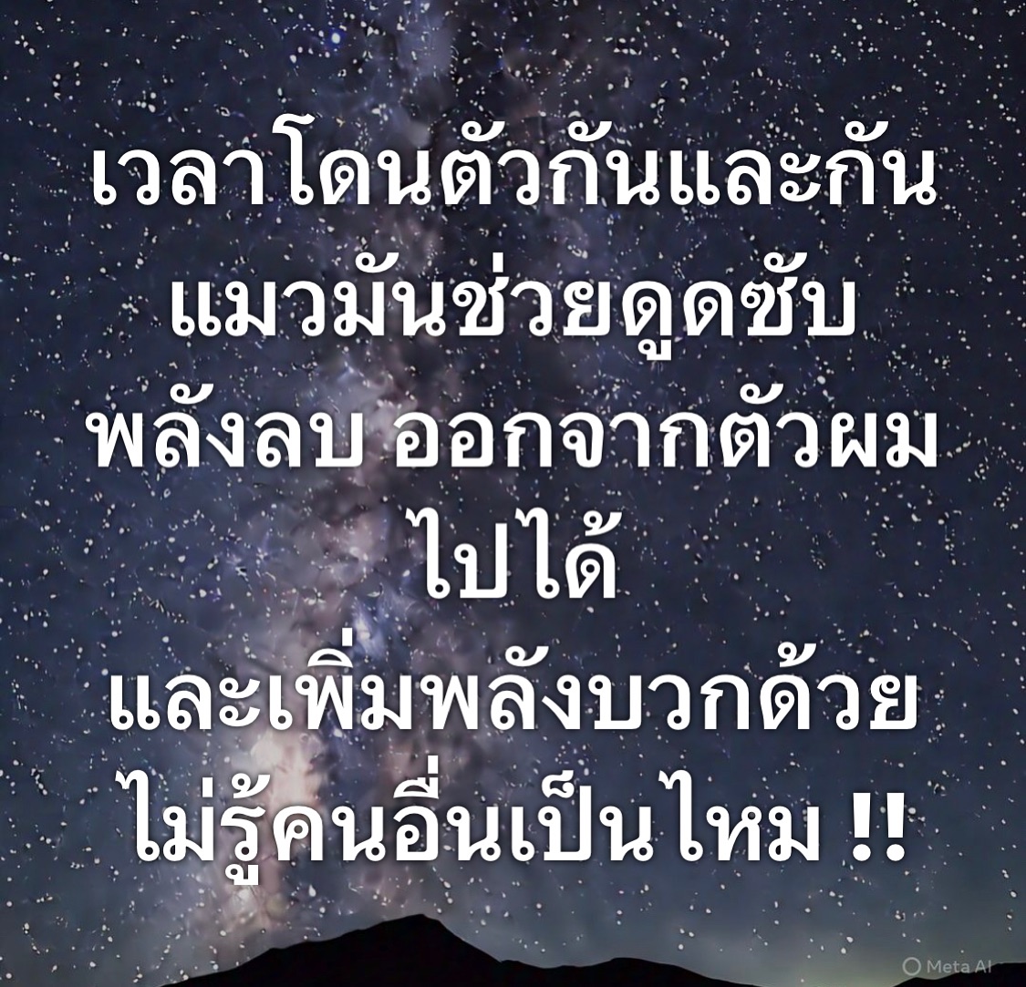 พล่ากุ้ง - วรชาติ ธรรมวิจินต์