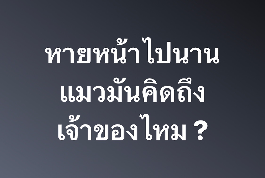 พล่ากุ้ง - วรชาติ ธรรมวิจินต์
