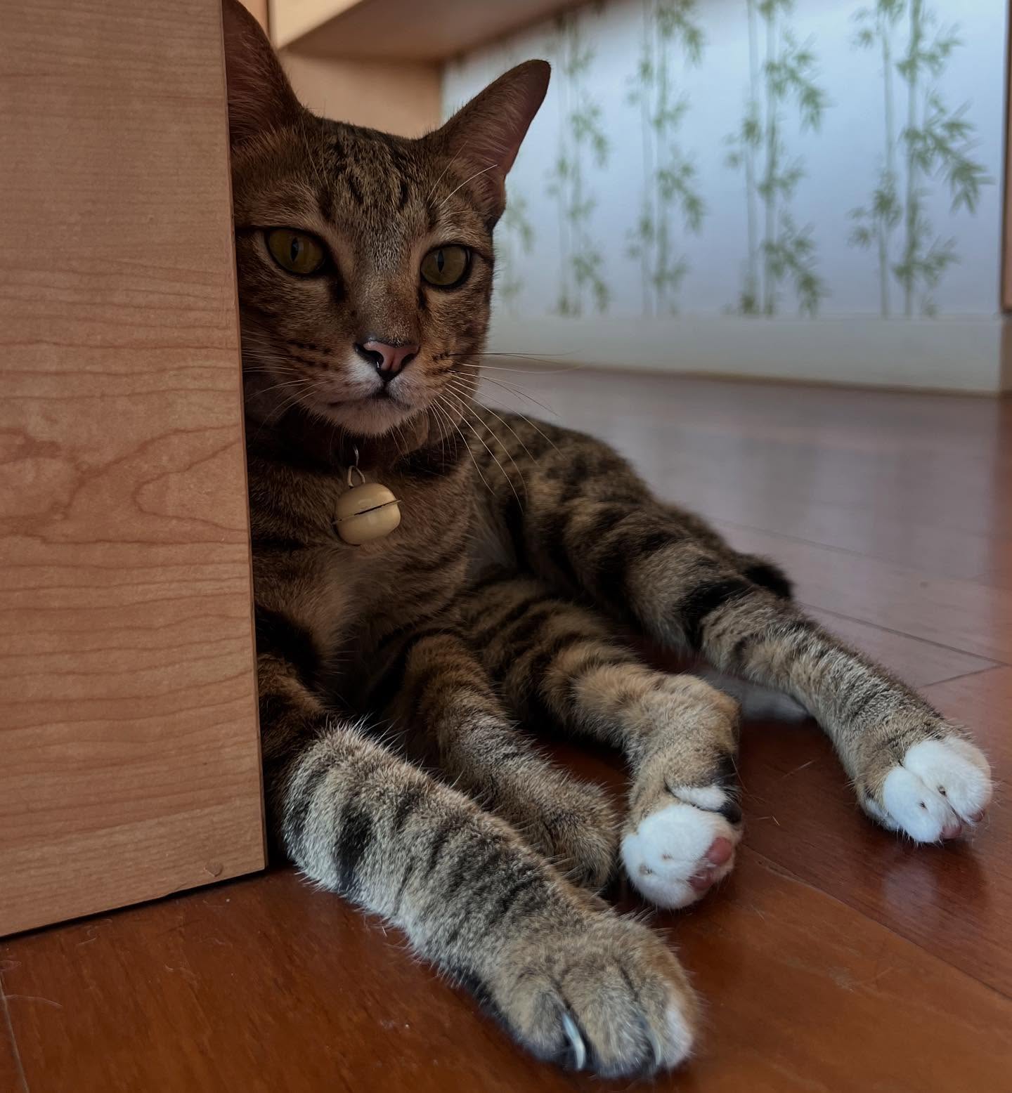 พล่ากุ้ง - วรชาติ ธรรมวิจินต์