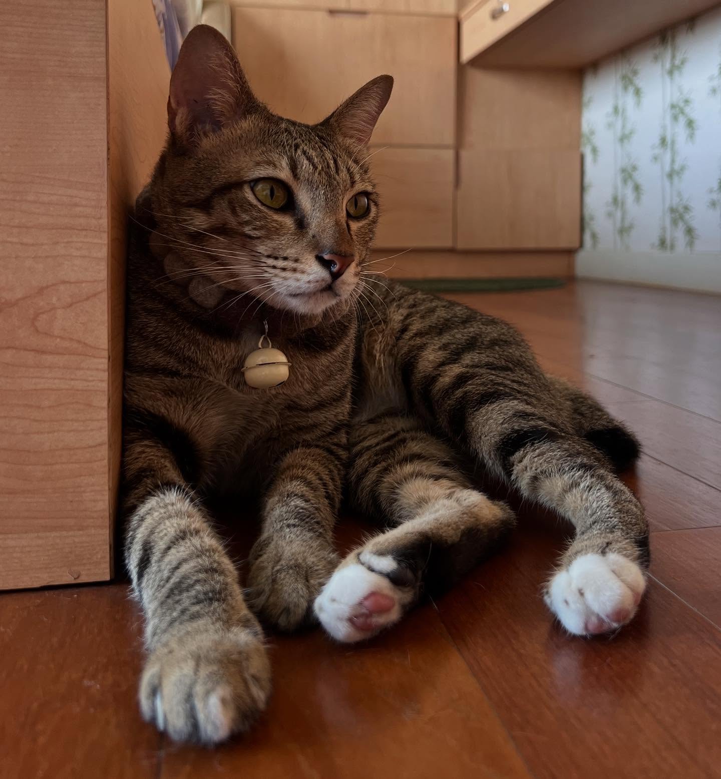 พล่ากุ้ง - วรชาติ ธรรมวิจินต์