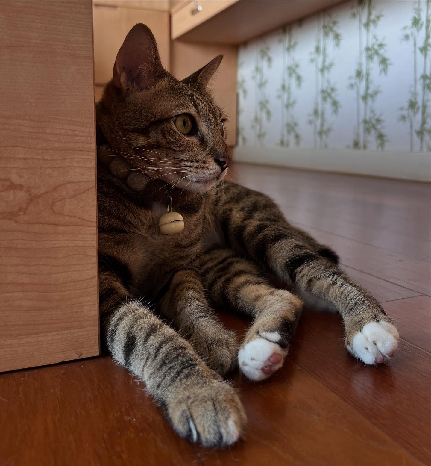 พล่ากุ้ง - วรชาติ ธรรมวิจินต์