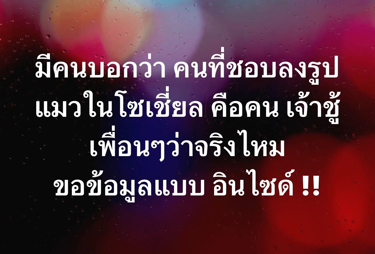พล่ากุ้ง - วรชาติ ธรรมวิจินต์