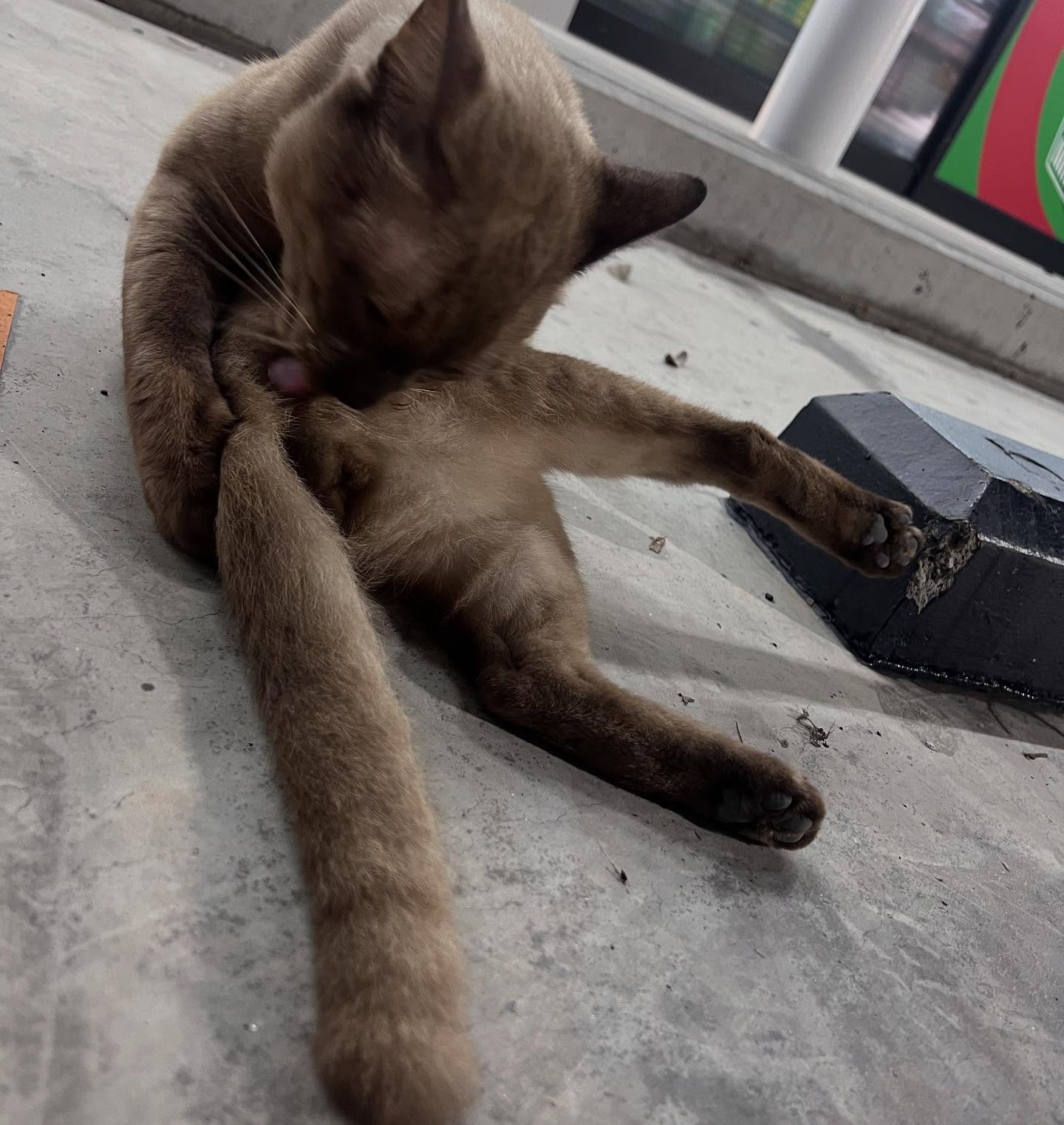 พล่ากุ้ง - วรชาติ ธรรมวิจินต์