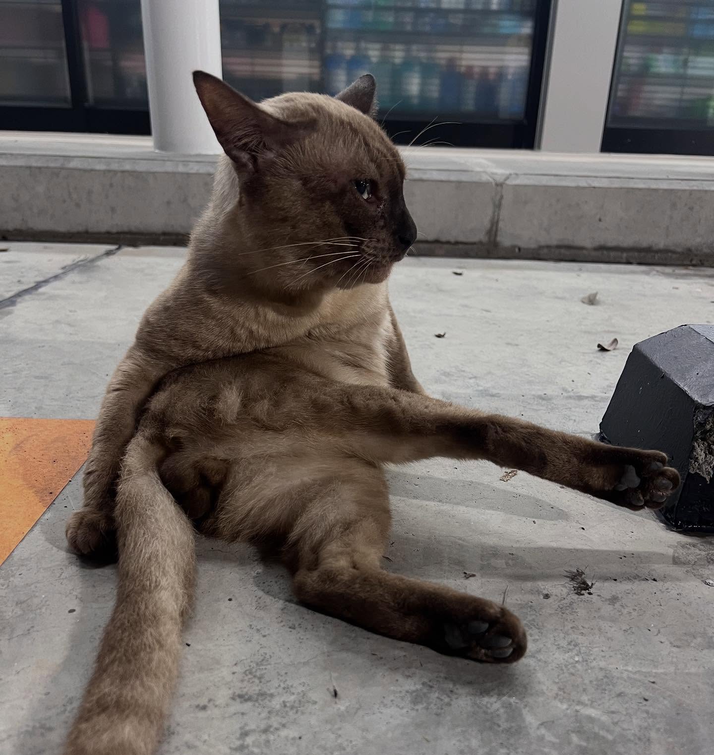 พล่ากุ้ง - วรชาติ ธรรมวิจินต์