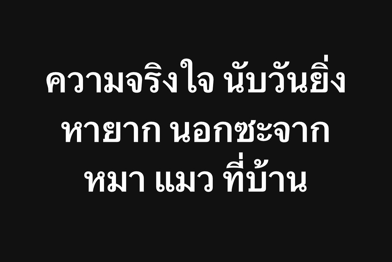พล่ากุ้ง - วรชาติ ธรรมวิจินต์