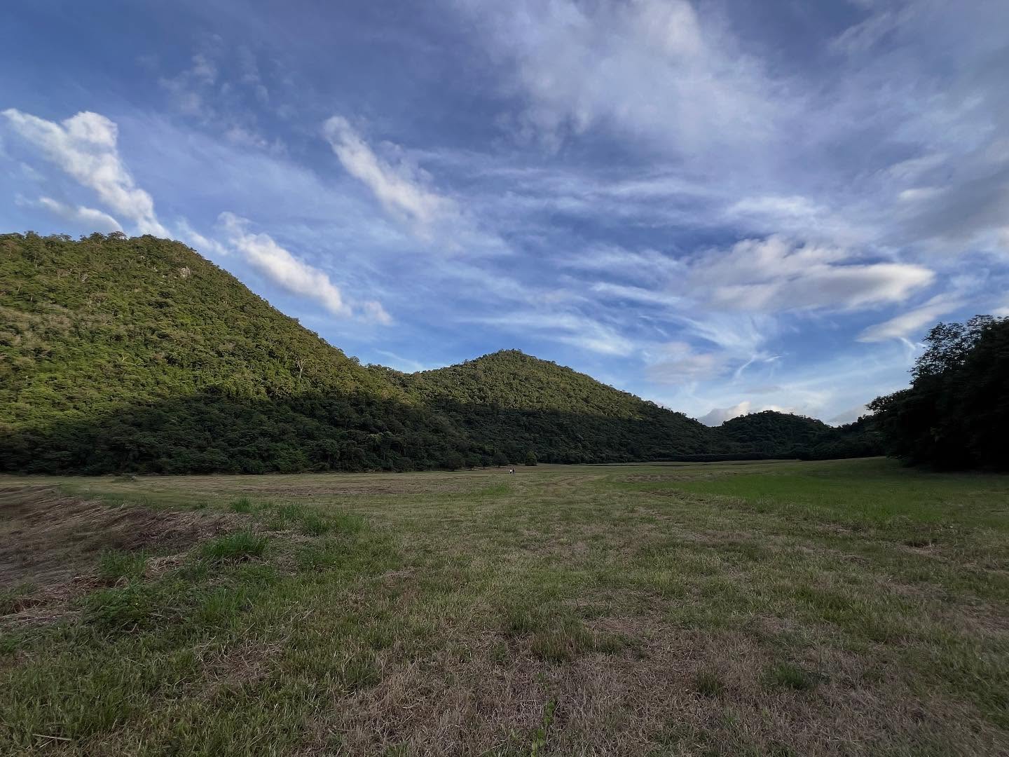 พล่ากุ้ง - วรชาติ ธรรมวิจินต์