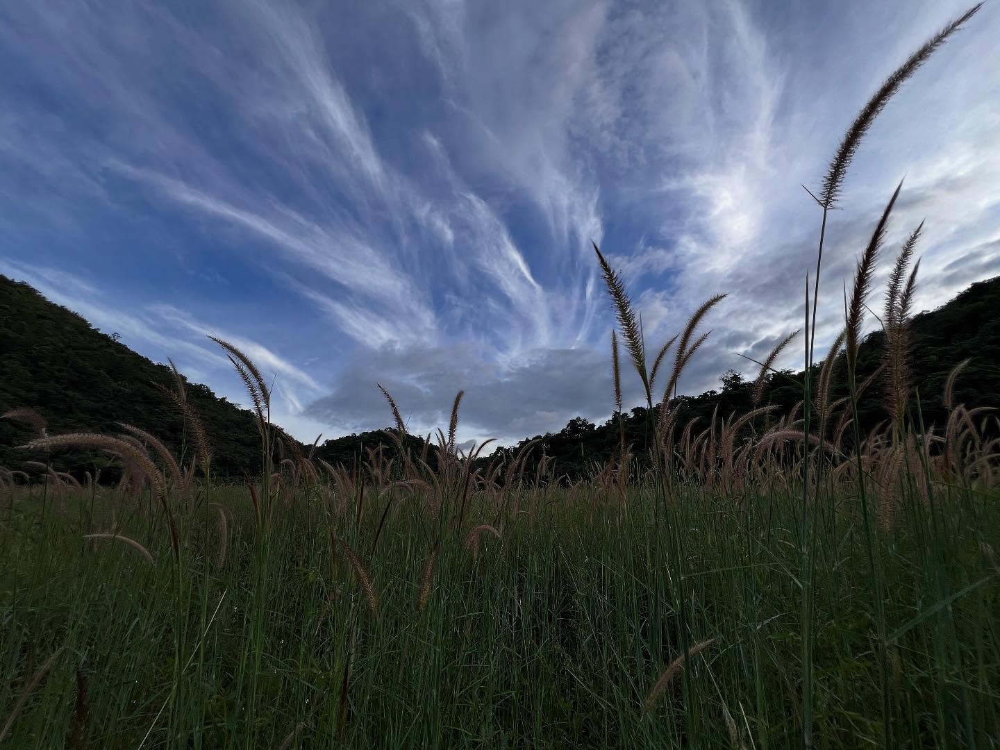 พล่ากุ้ง - วรชาติ ธรรมวิจินต์