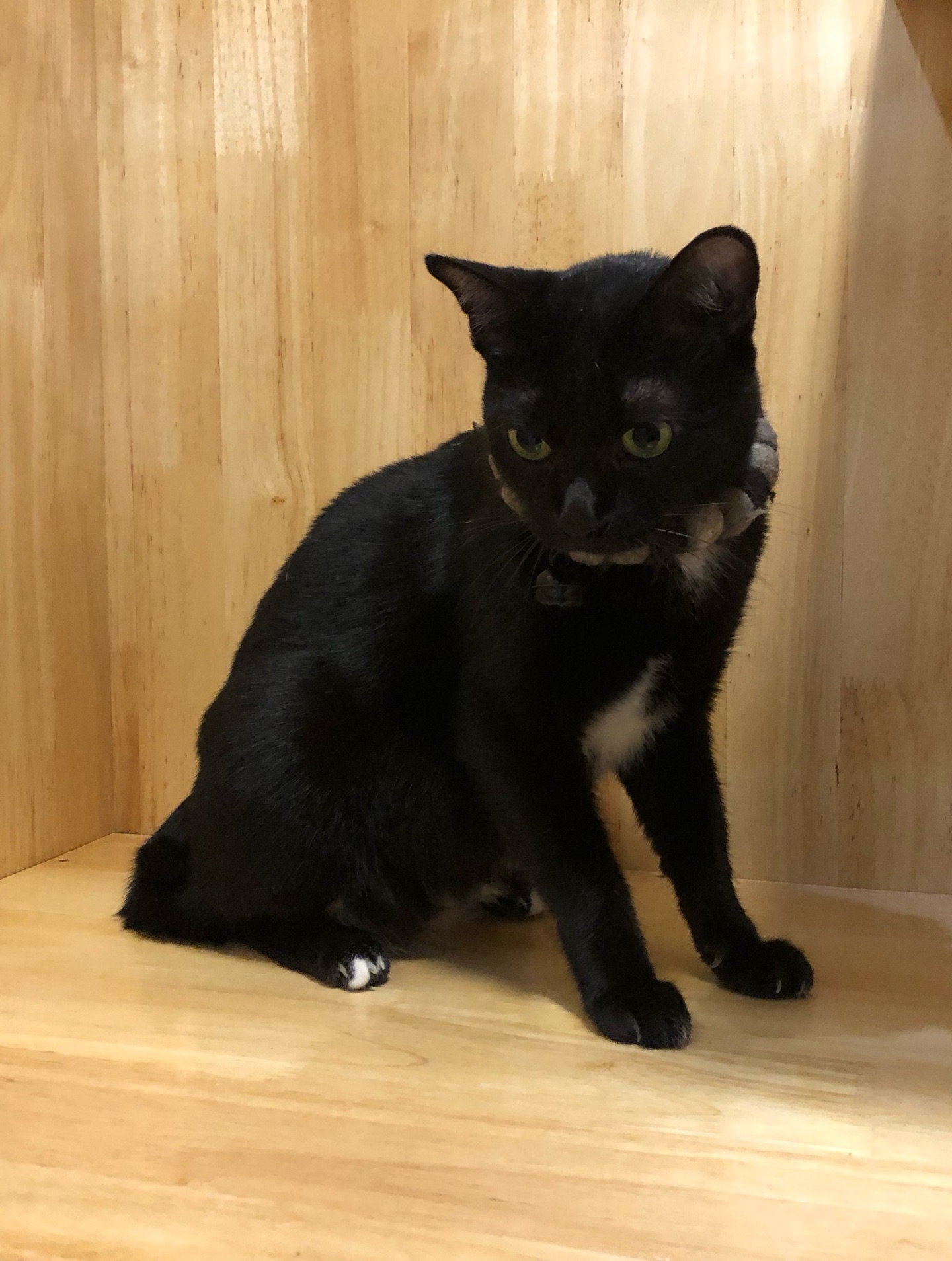 พล่ากุ้ง - วรชาติ ธรรมวิจินต์