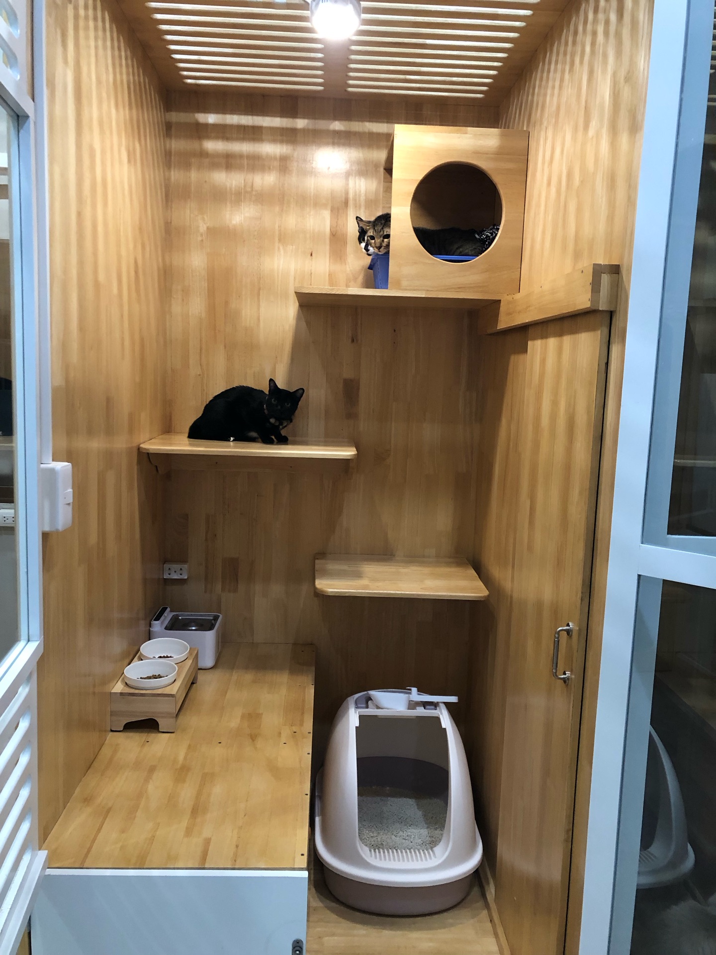 พล่ากุ้ง - วรชาติ ธรรมวิจินต์