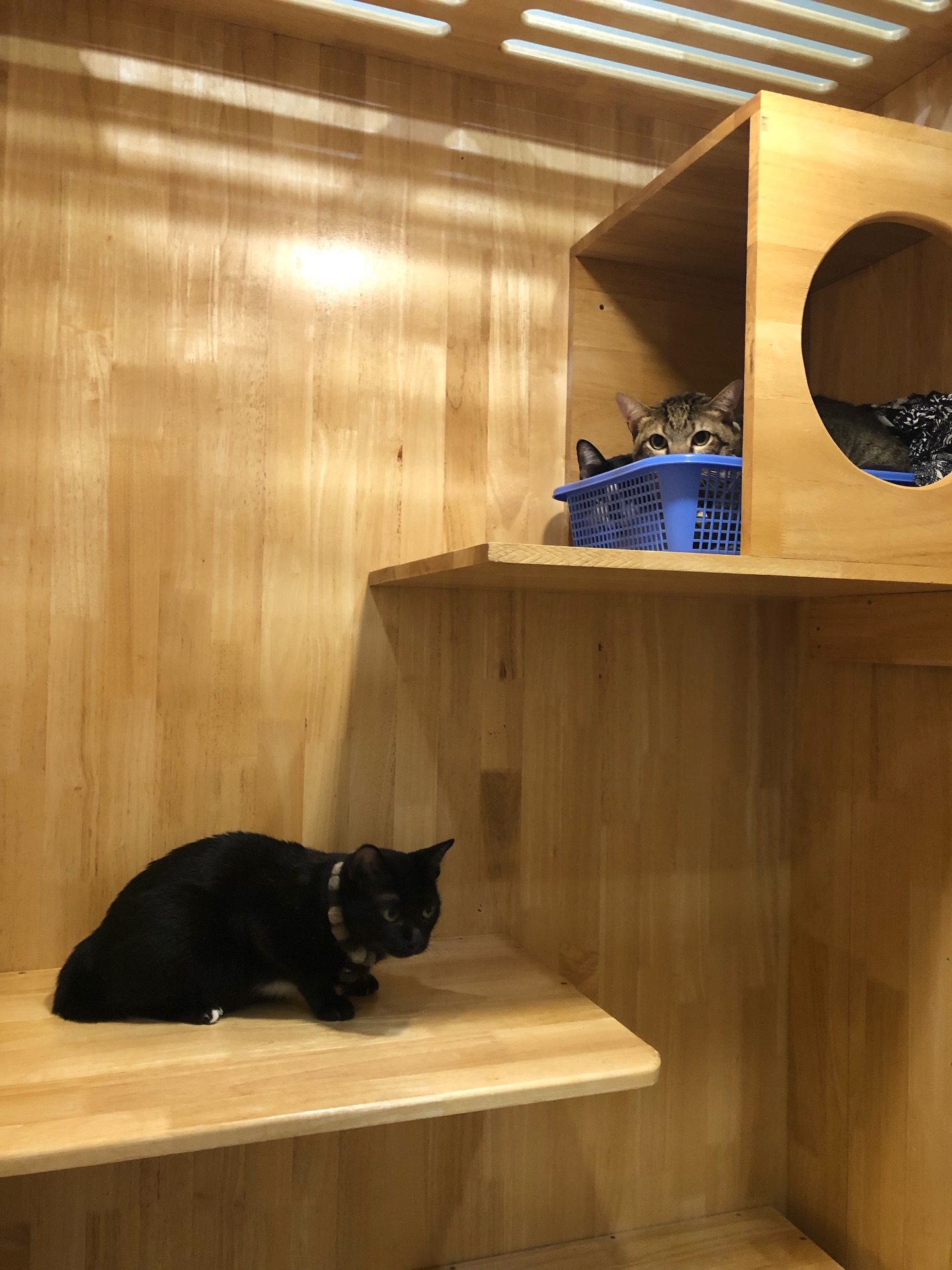 พล่ากุ้ง - วรชาติ ธรรมวิจินต์