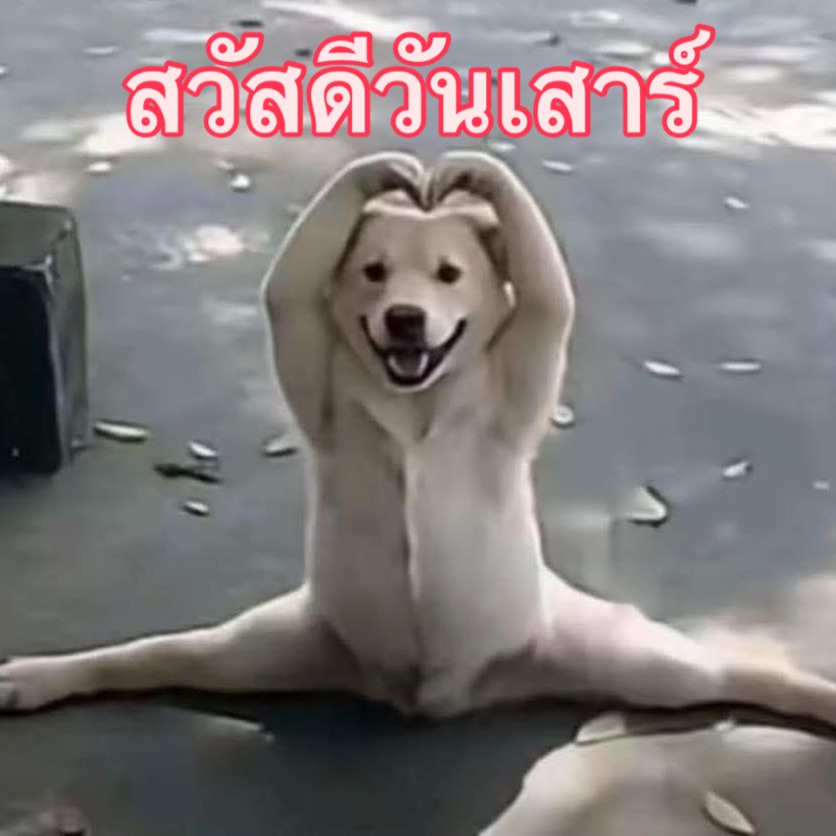 พล่ากุ้ง - วรชาติ ธรรมวิจินต์