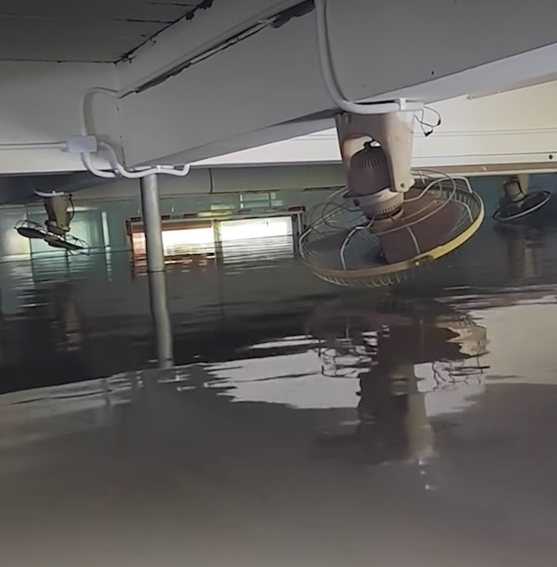 พล่ากุ้ง - วรชาติ ธรรมวิจินต์