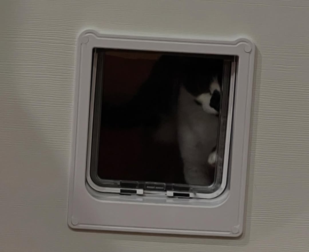 พล่ากุ้ง - วรชาติ ธรรมวิจินต์