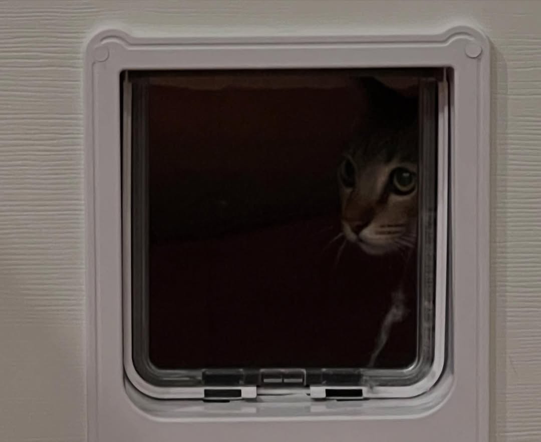 พล่ากุ้ง - วรชาติ ธรรมวิจินต์