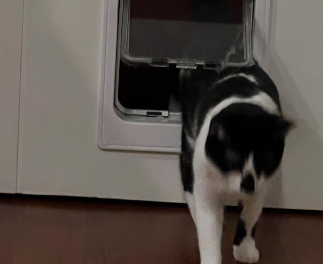 พล่ากุ้ง - วรชาติ ธรรมวิจินต์