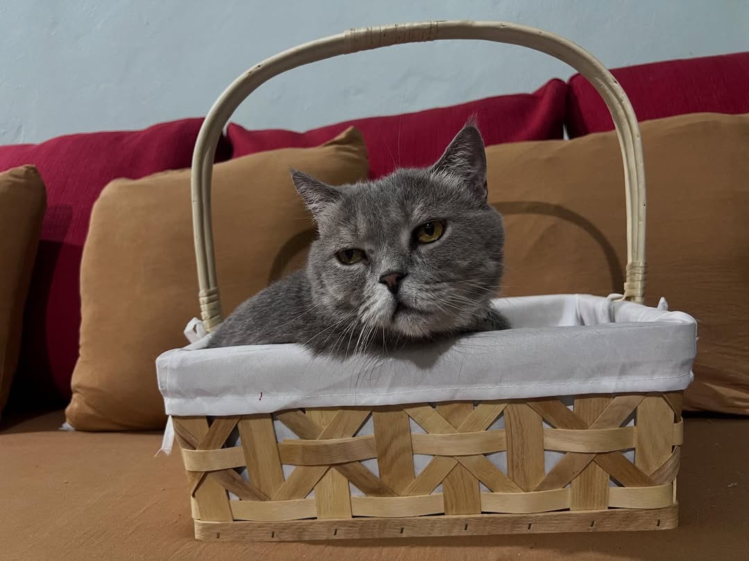 พล่ากุ้ง - วรชาติ ธรรมวิจินต์