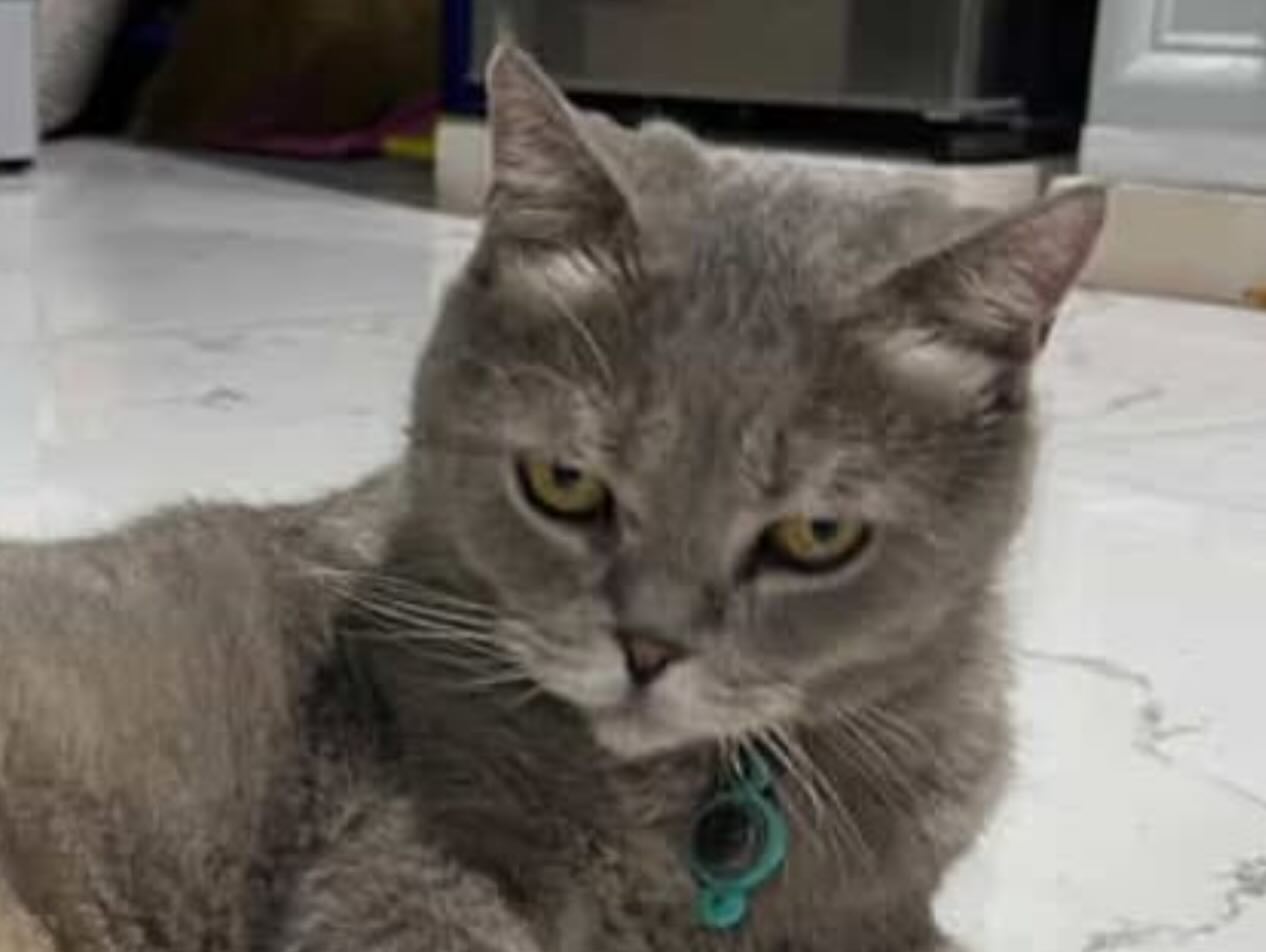 พล่ากุ้ง - วรชาติ ธรรมวิจินต์