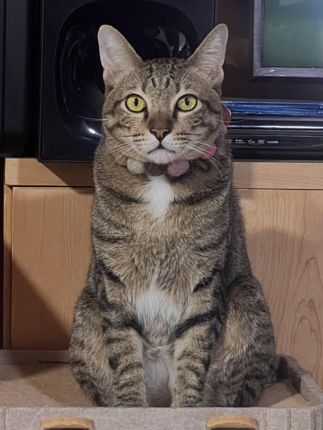 พล่ากุ้ง - วรชาติ ธรรมวิจินต์