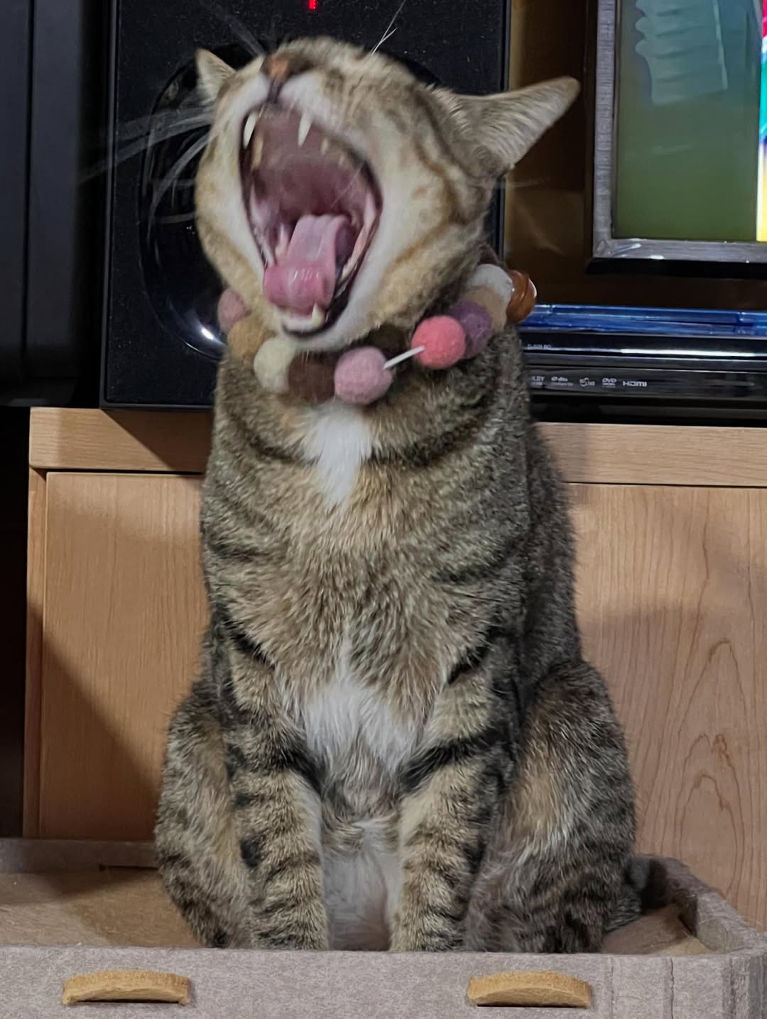 พล่ากุ้ง - วรชาติ ธรรมวิจินต์