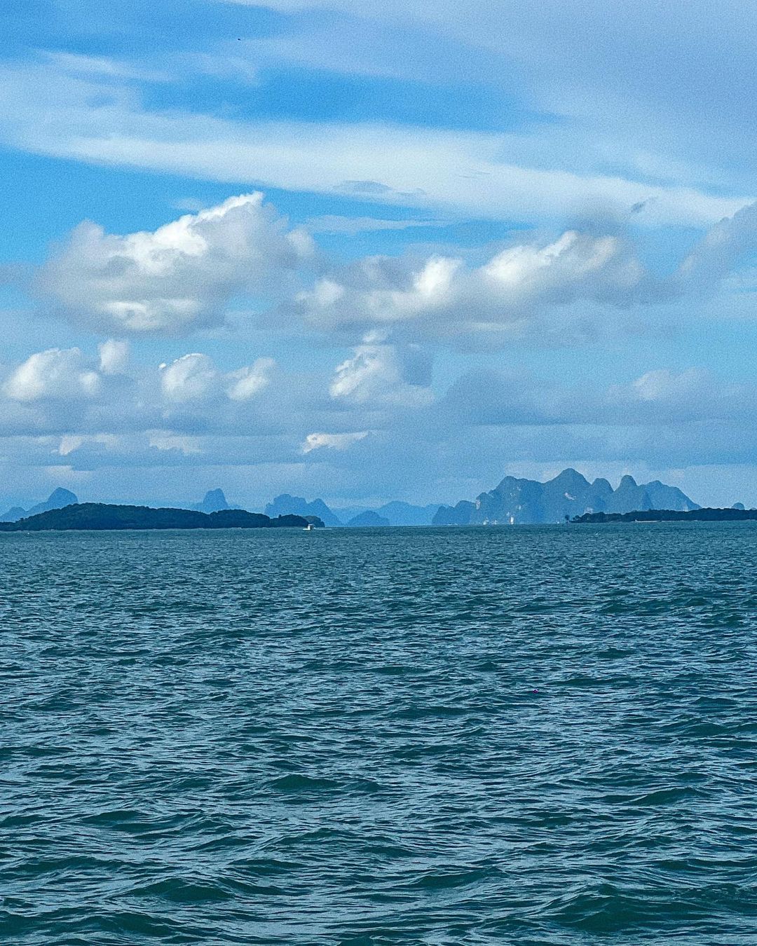 โยเกิร์ต - ณัฐฐชาช์ บุญประชม