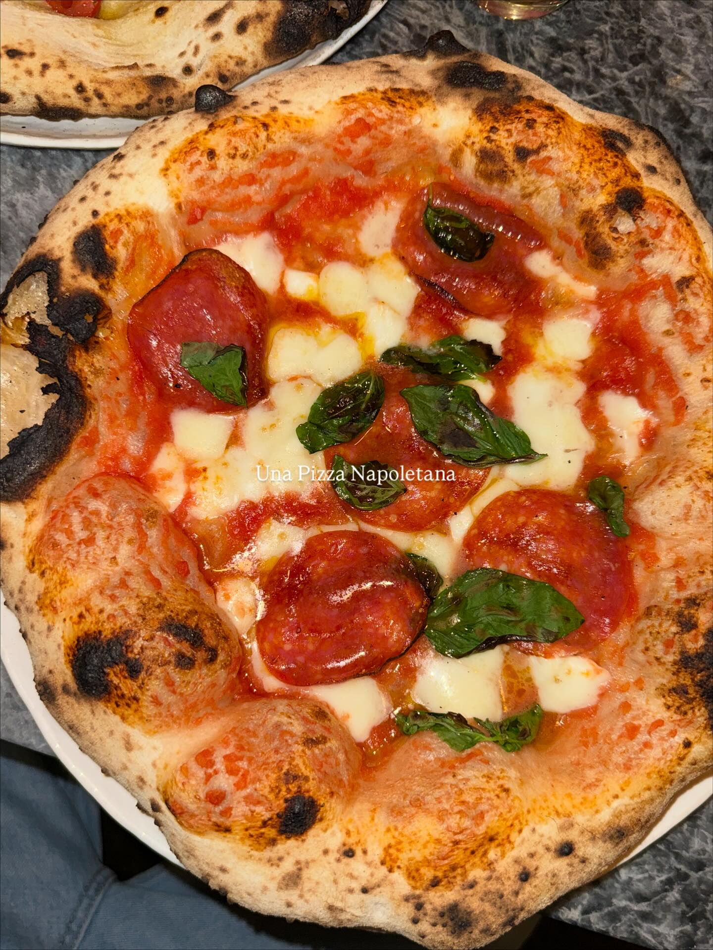 โยเกิร์ต - ณัฐฐชาช์ บุญประชม