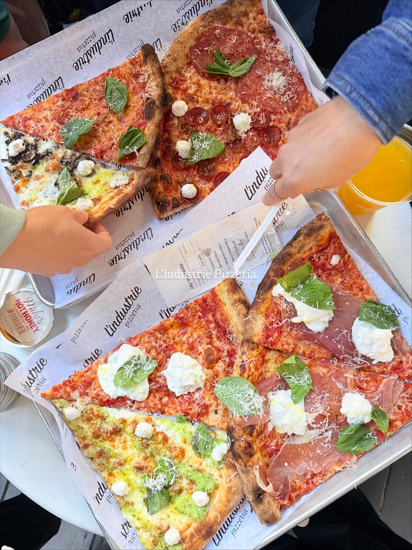 โยเกิร์ต - ณัฐฐชาช์ บุญประชม