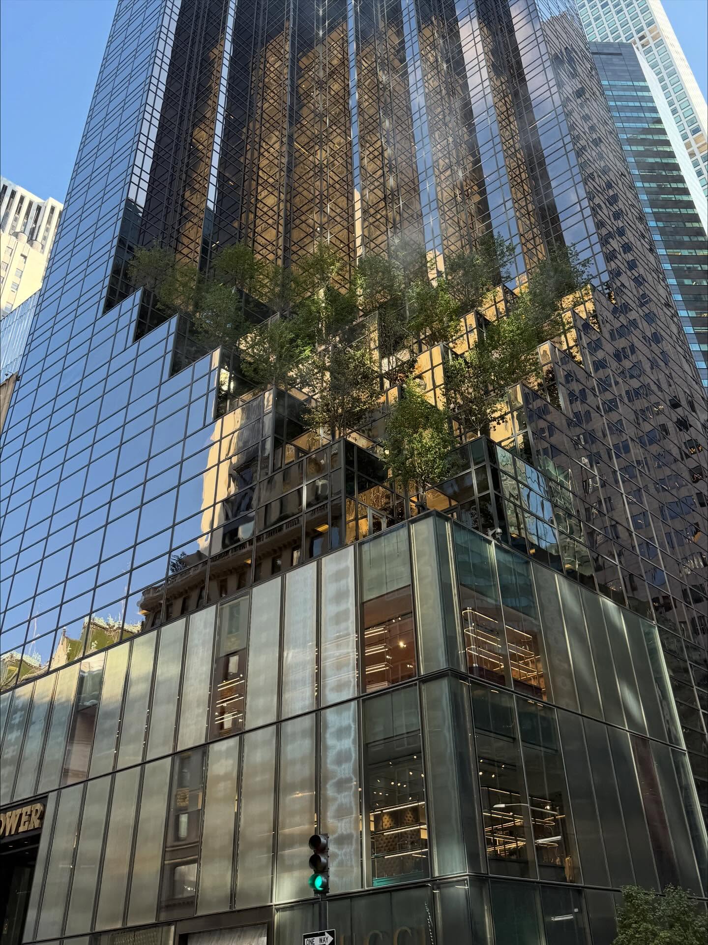 โยเกิร์ต - ณัฐฐชาช์ บุญประชม