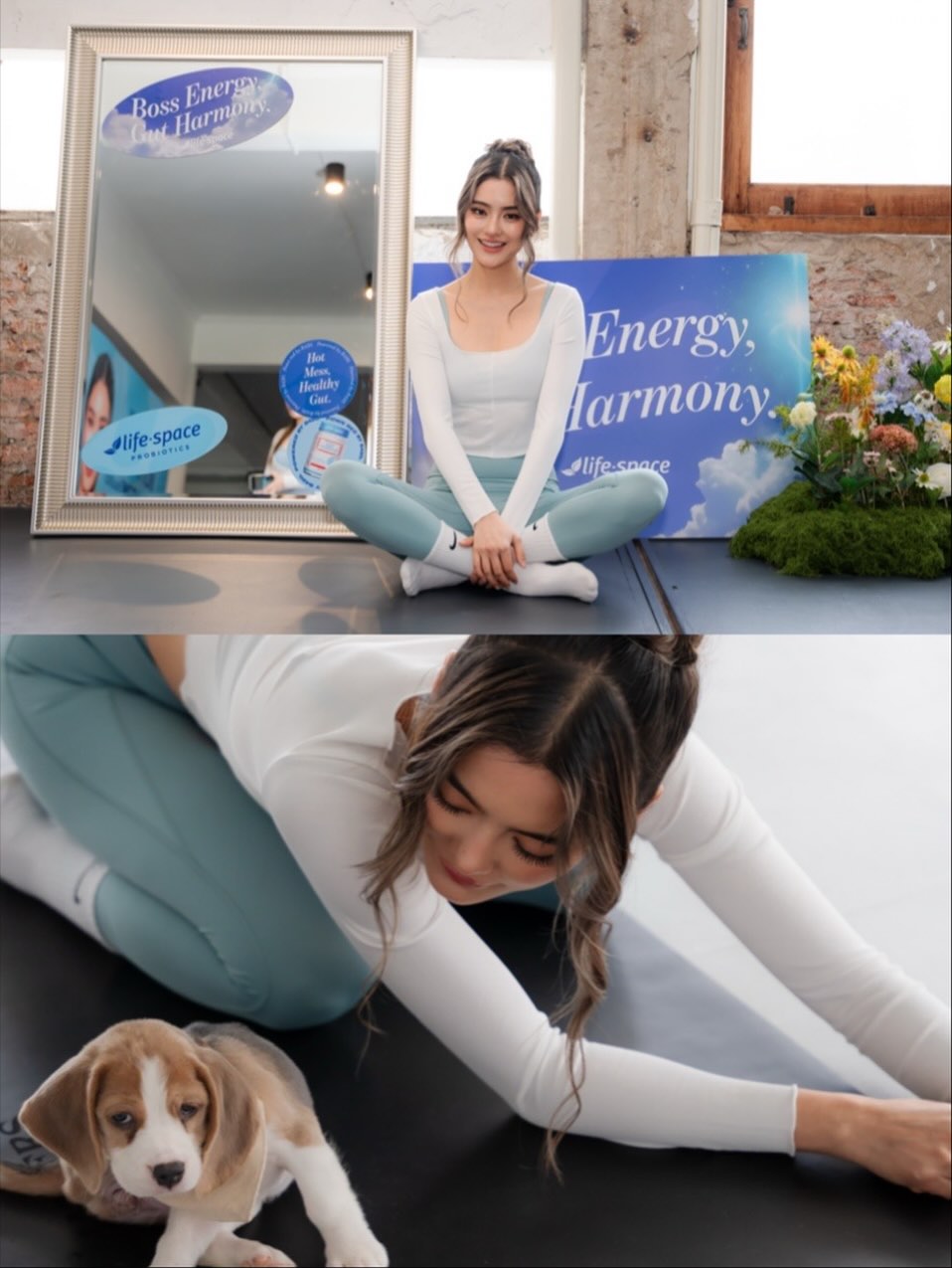 โยเกิร์ต - ณัฐฐชาช์ บุญประชม