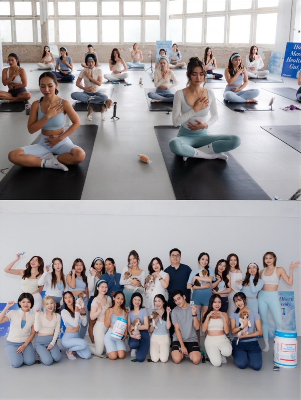 โยเกิร์ต - ณัฐฐชาช์ บุญประชม