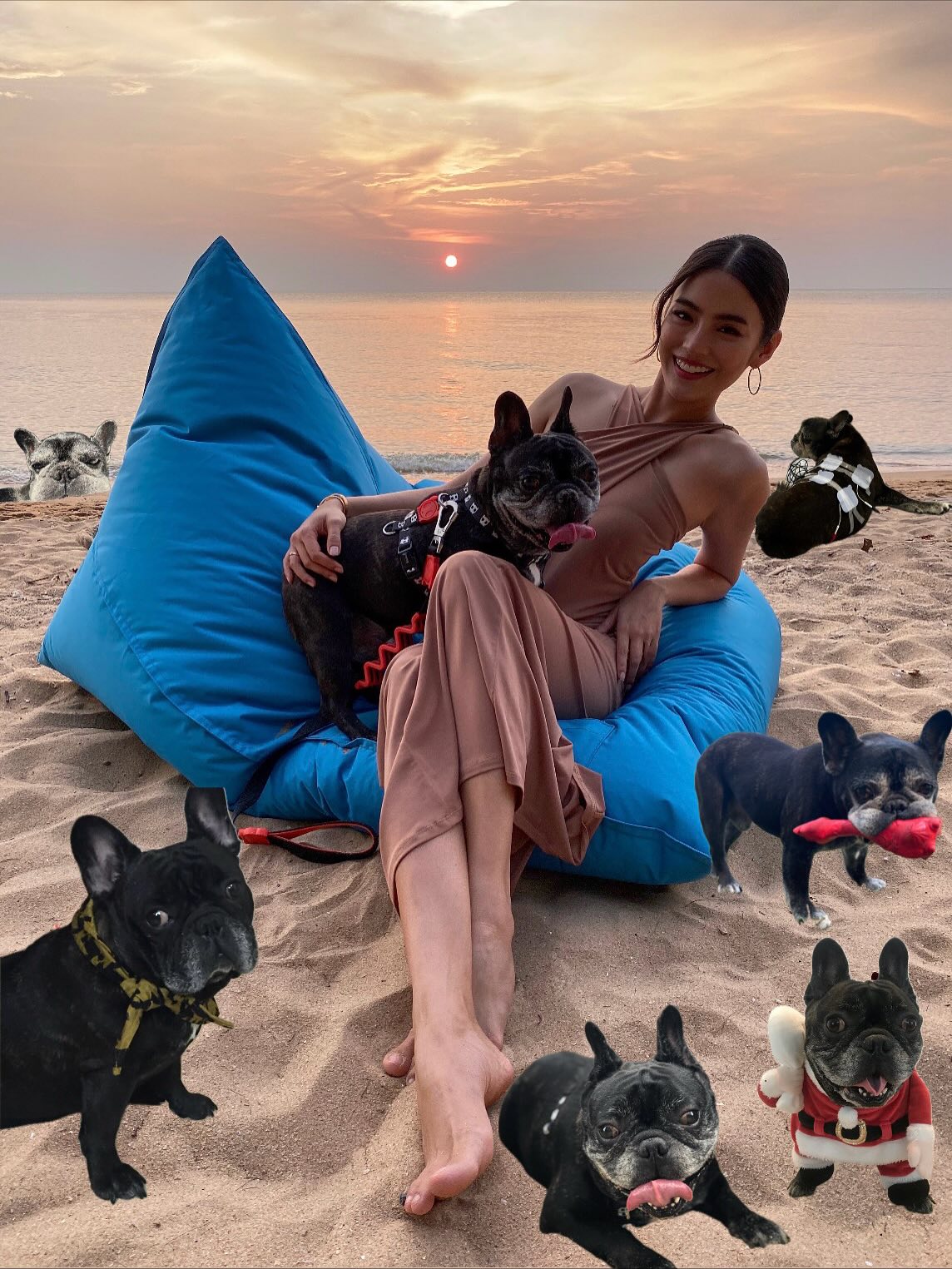 โยเกิร์ต - ณัฐฐชาช์ บุญประชม