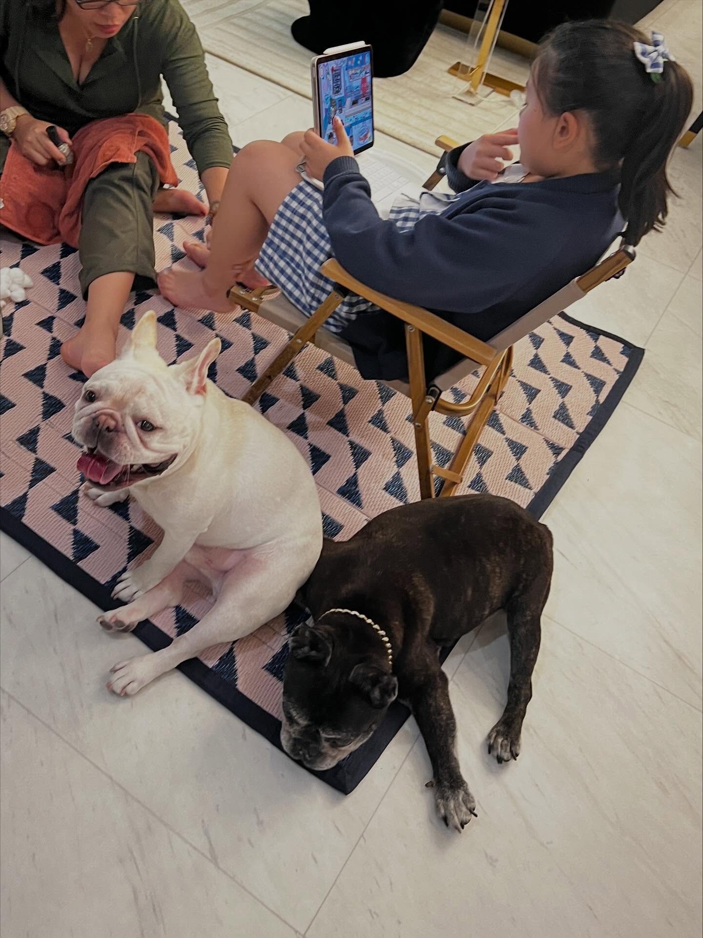 โยเกิร์ต - ณัฐฐชาช์ บุญประชม