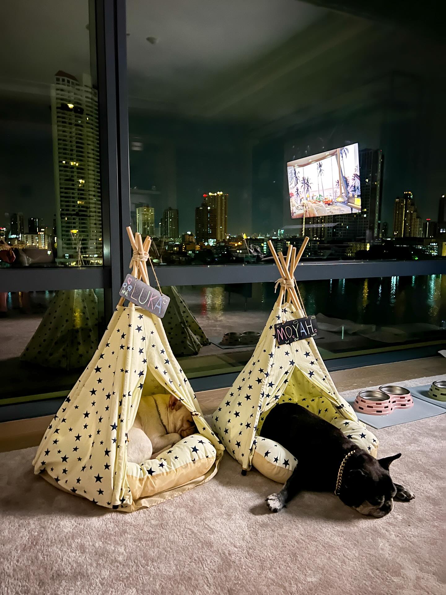 โยเกิร์ต - ณัฐฐชาช์ บุญประชม