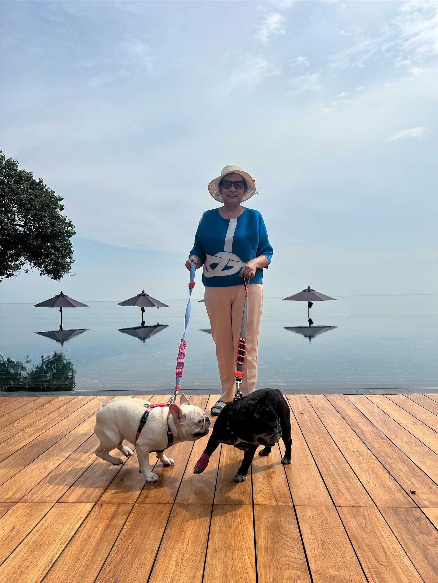 โยเกิร์ต - ณัฐฐชาช์ บุญประชม