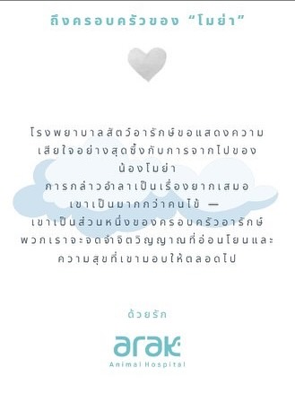 โยเกิร์ต - ณัฐฐชาช์ บุญประชม