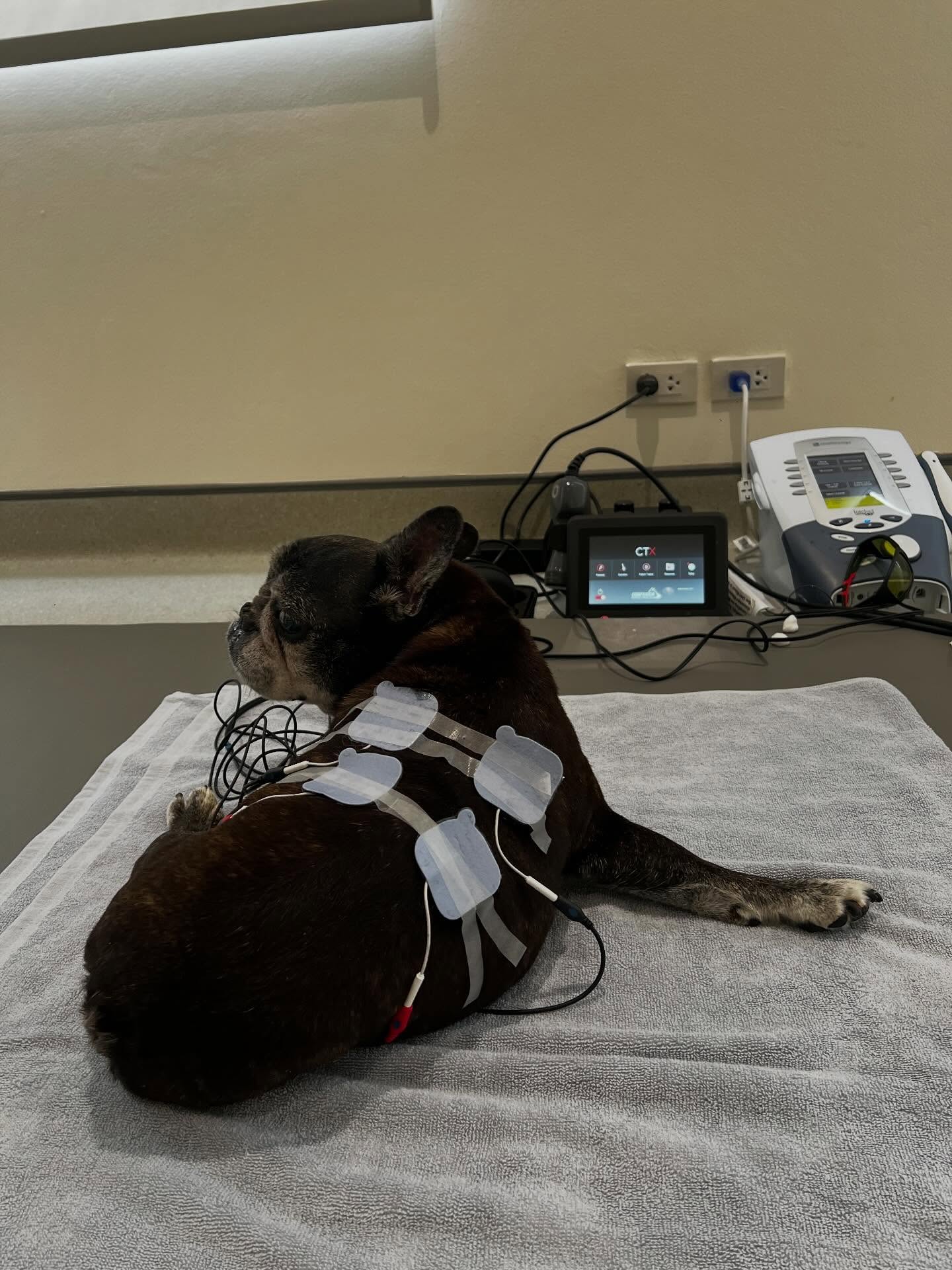 โยเกิร์ต - ณัฐฐชาช์ บุญประชม