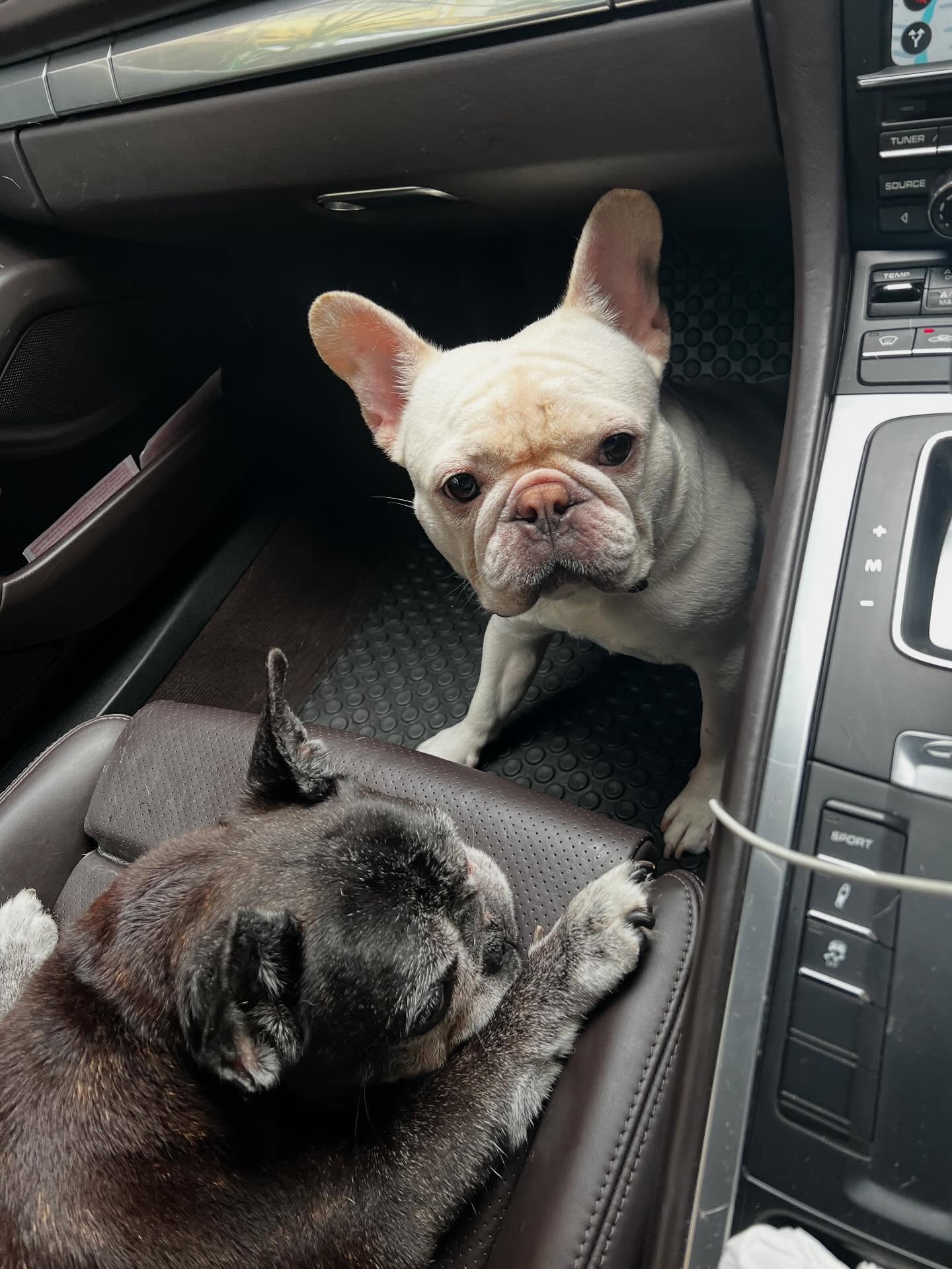 โยเกิร์ต - ณัฐฐชาช์ บุญประชม