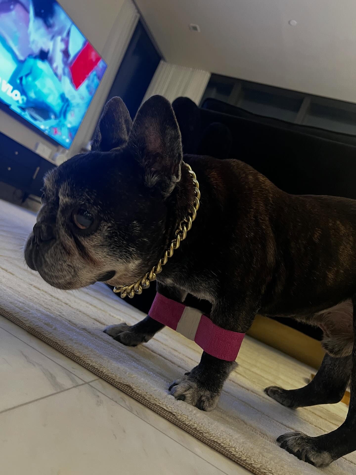 โยเกิร์ต - ณัฐฐชาช์ บุญประชม