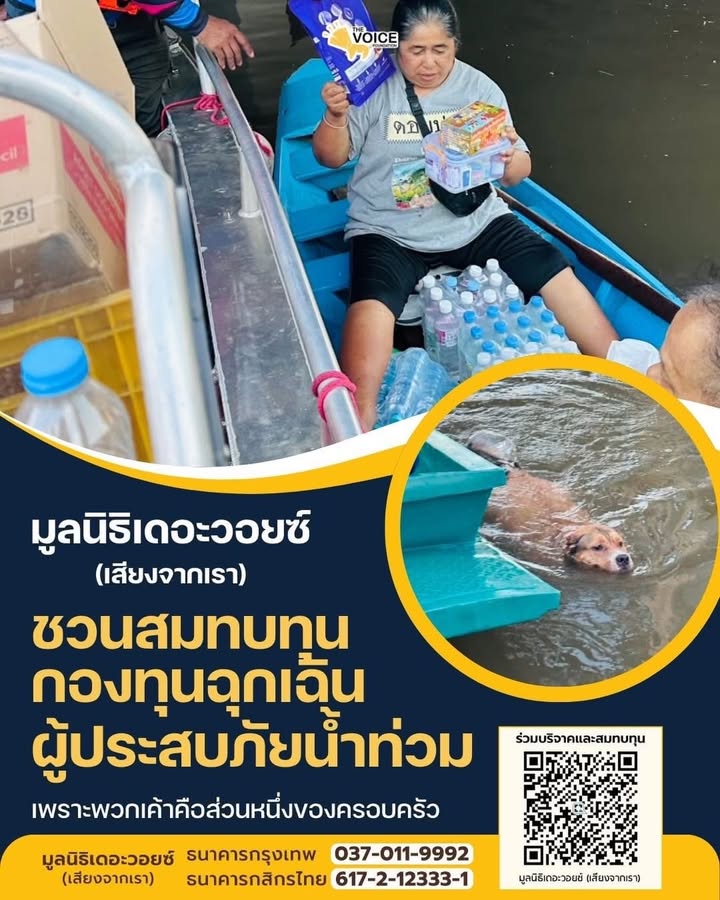 โยเกิร์ต - ณัฐฐชาช์ บุญประชม