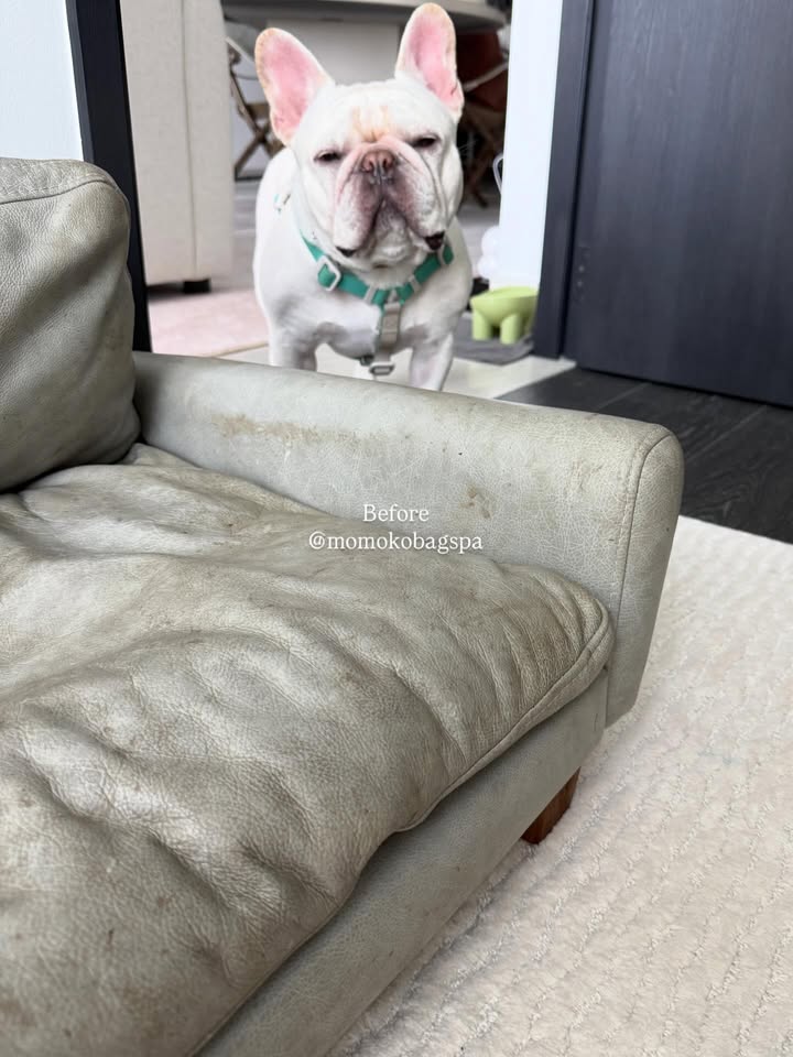 โยเกิร์ต - ณัฐฐชาช์ บุญประชม