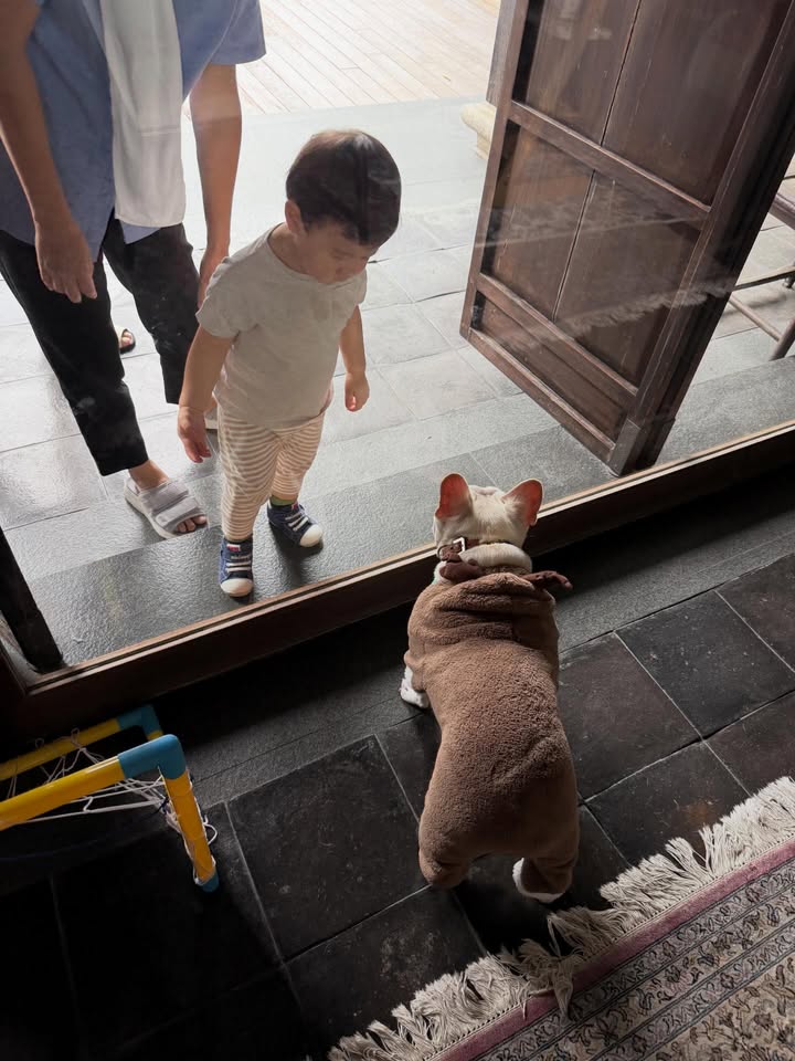 โยเกิร์ต - ณัฐฐชาช์ บุญประชม