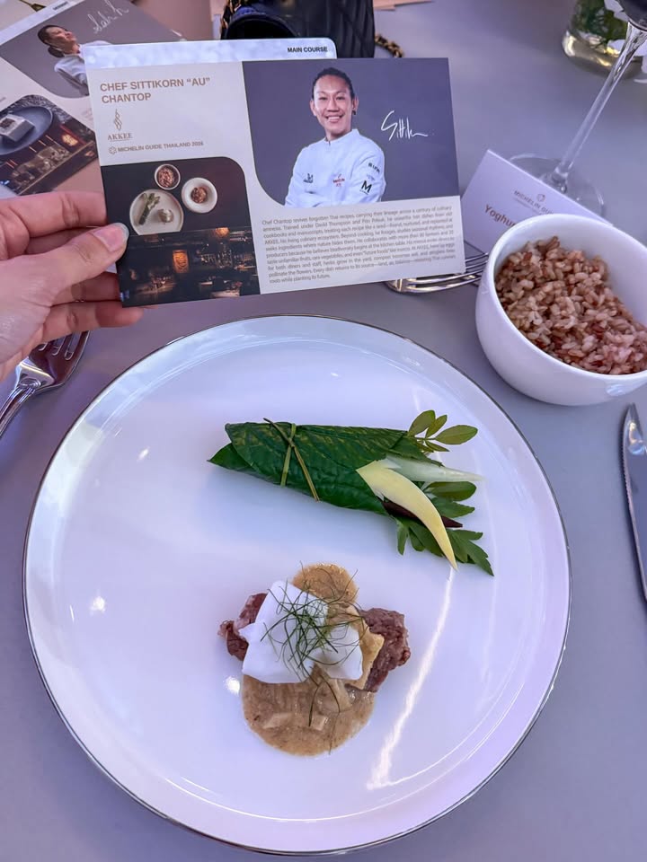 โยเกิร์ต - ณัฐฐชาช์ บุญประชม