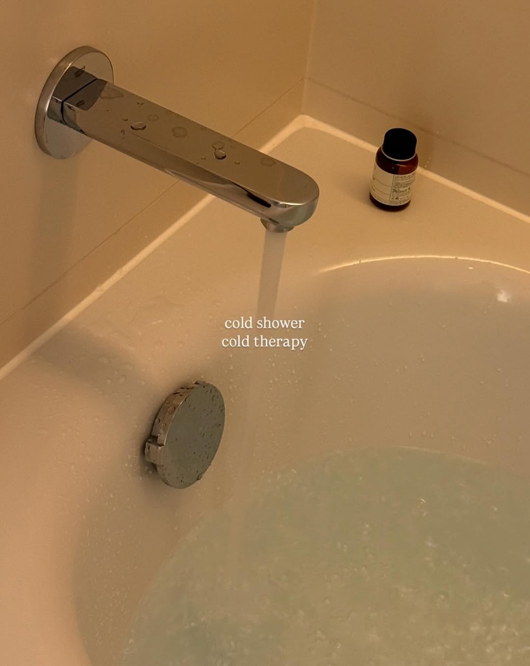 โยเกิร์ต - ณัฐฐชาช์ บุญประชม