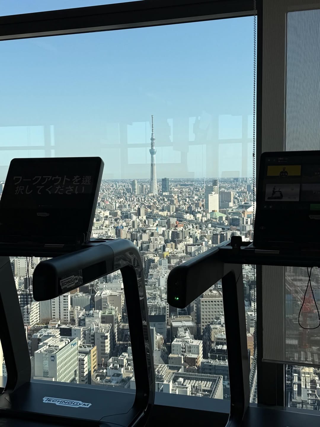 โยเกิร์ต - ณัฐฐชาช์ บุญประชม