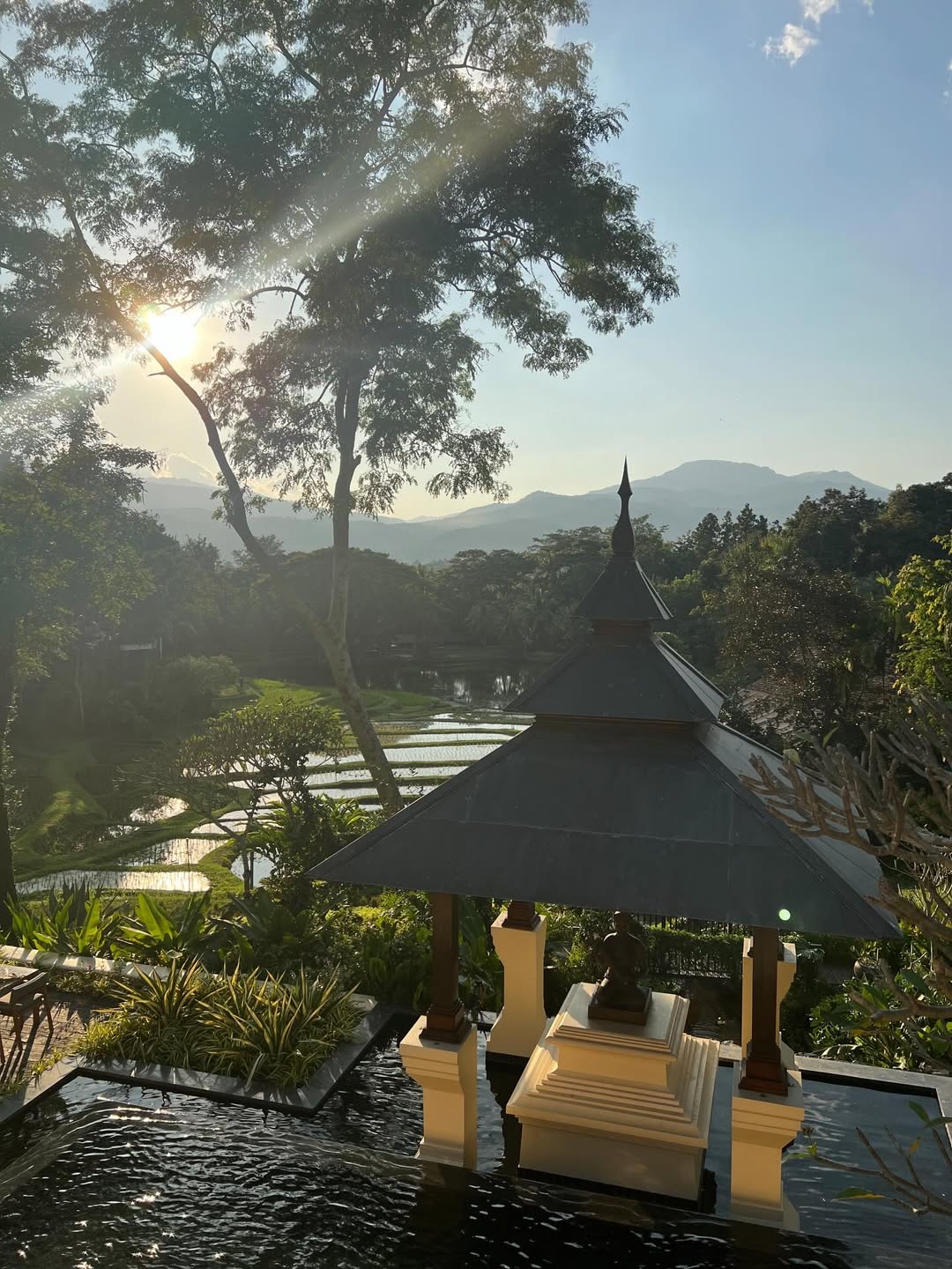 โยเกิร์ต - ณัฐฐชาช์ บุญประชม