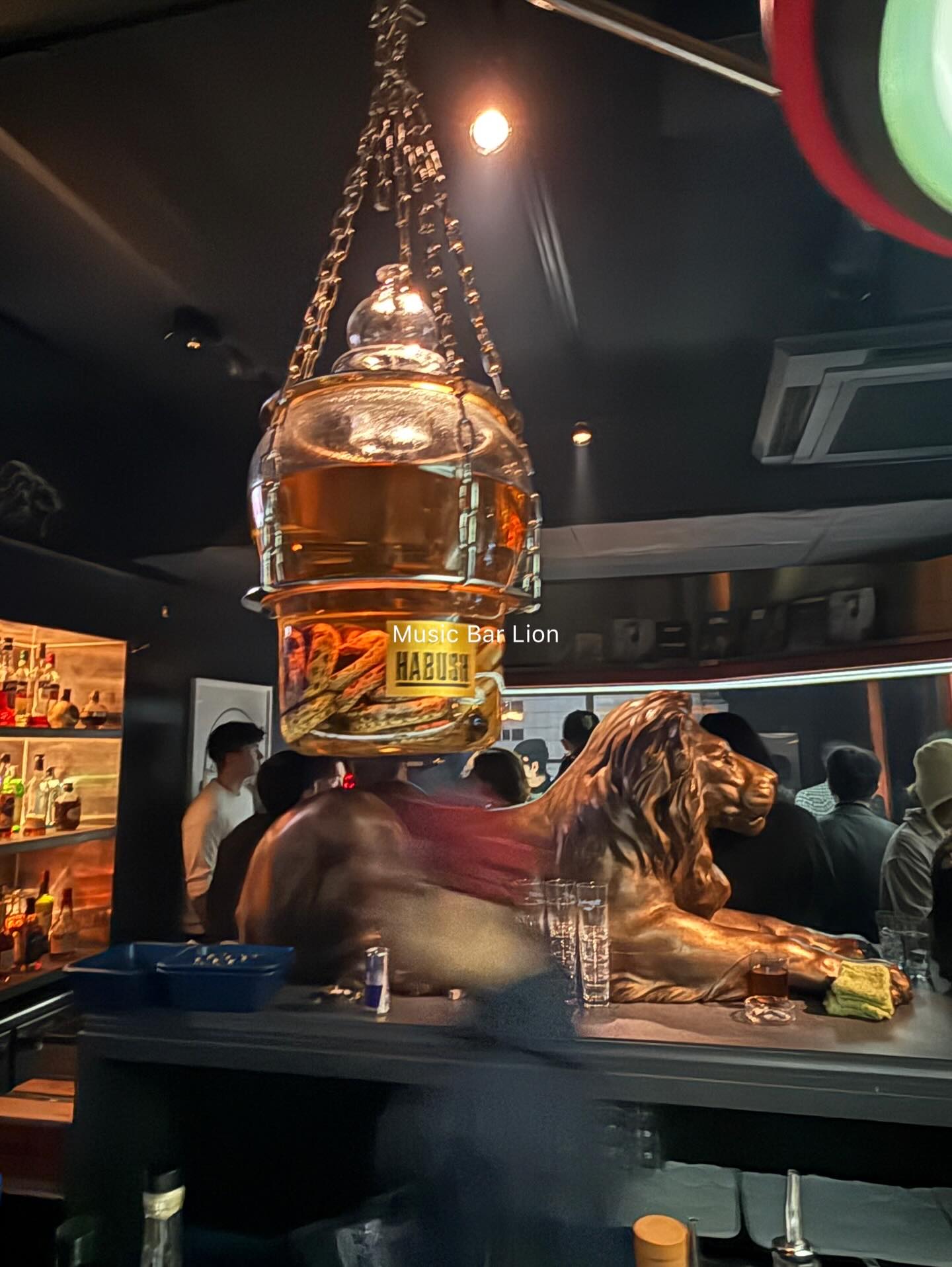 โยเกิร์ต - ณัฐฐชาช์ บุญประชม