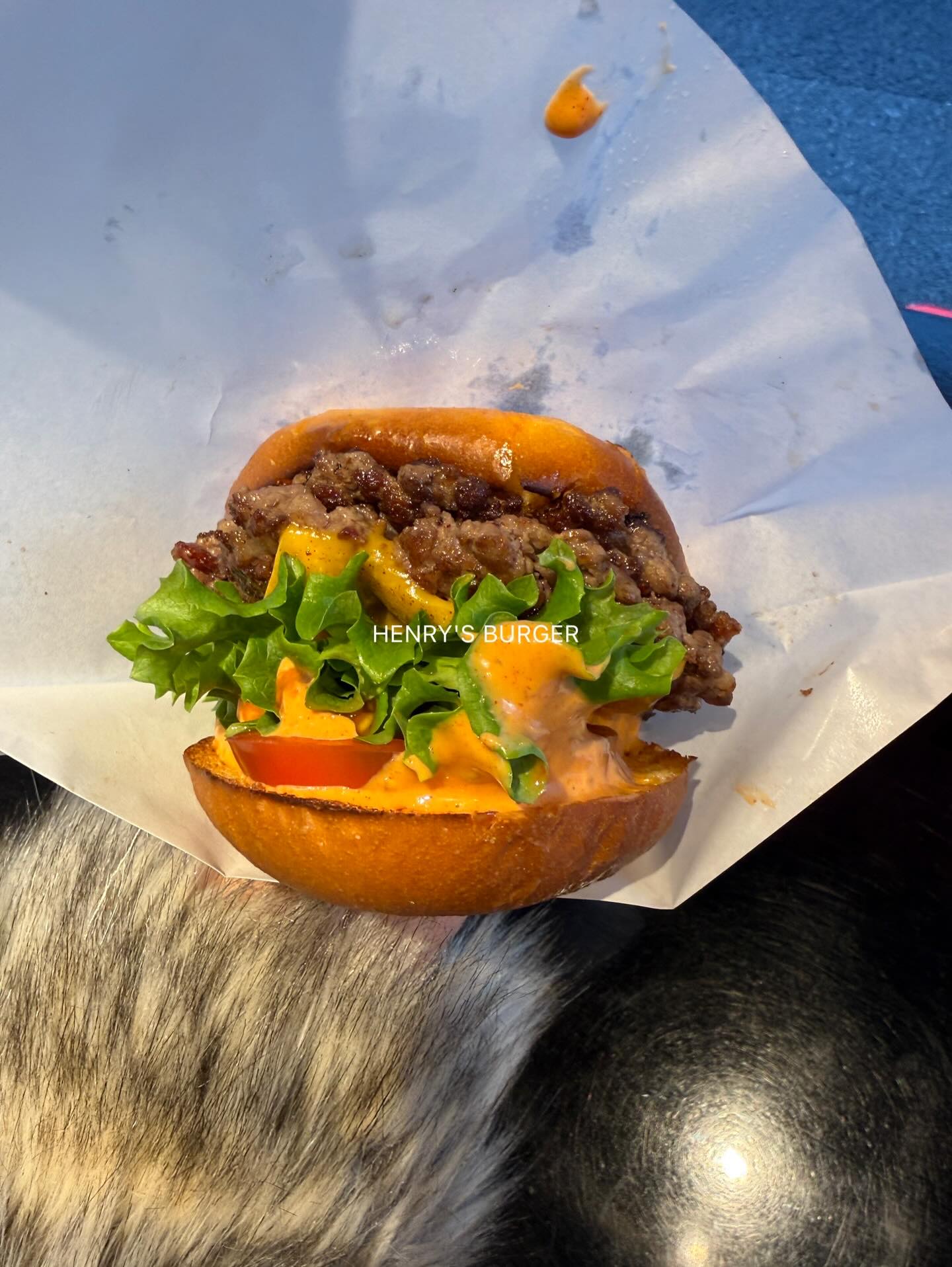 โยเกิร์ต - ณัฐฐชาช์ บุญประชม