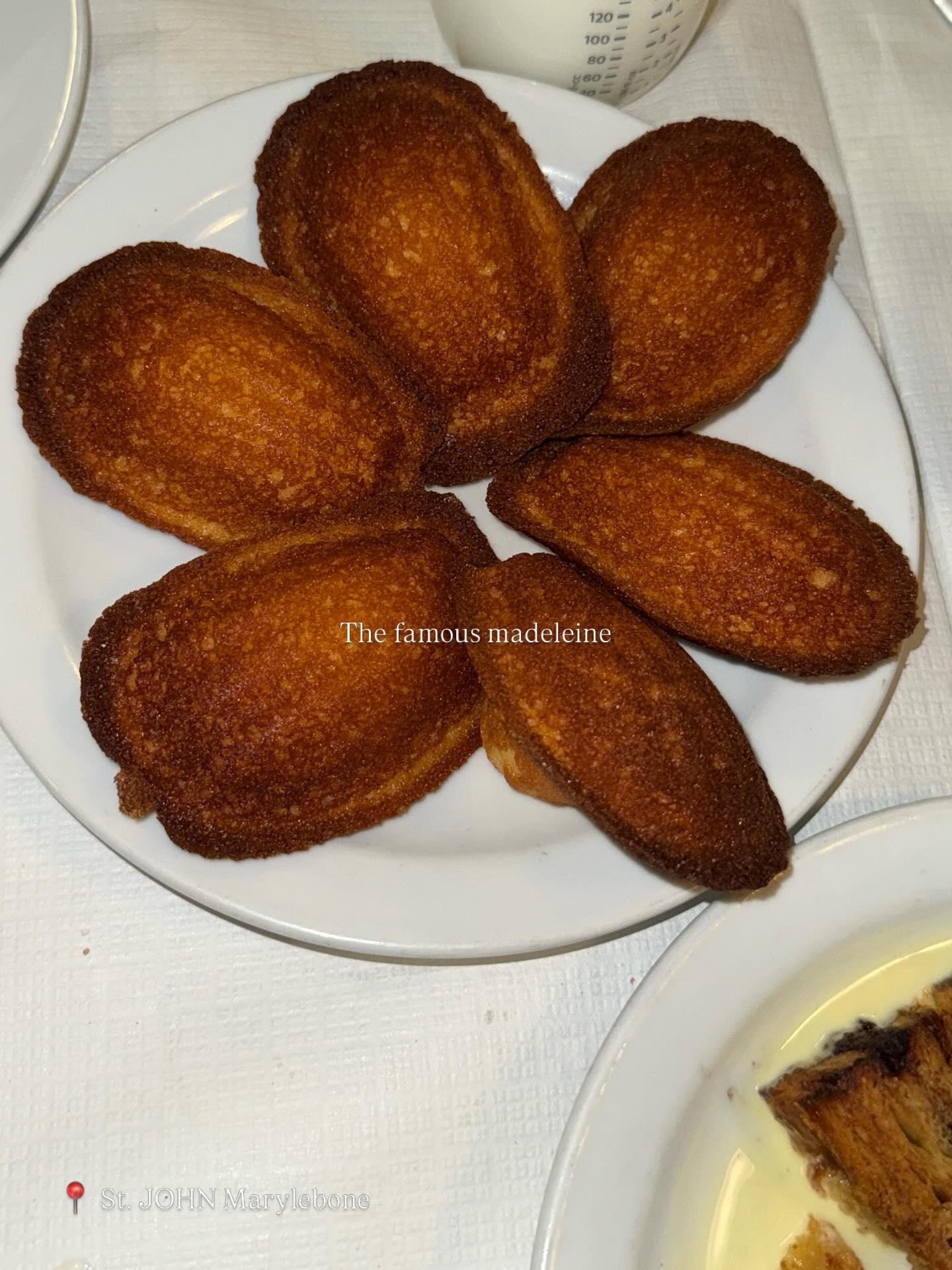 โยเกิร์ต - ณัฐฐชาช์ บุญประชม